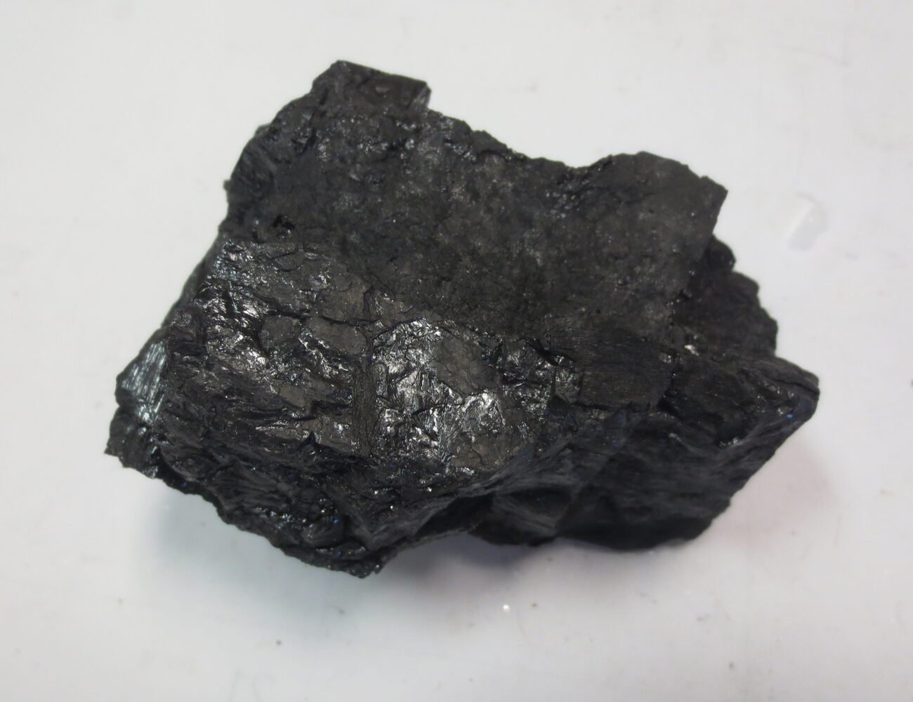 Coal — a black, high-carbon lump; coking and thermal grades